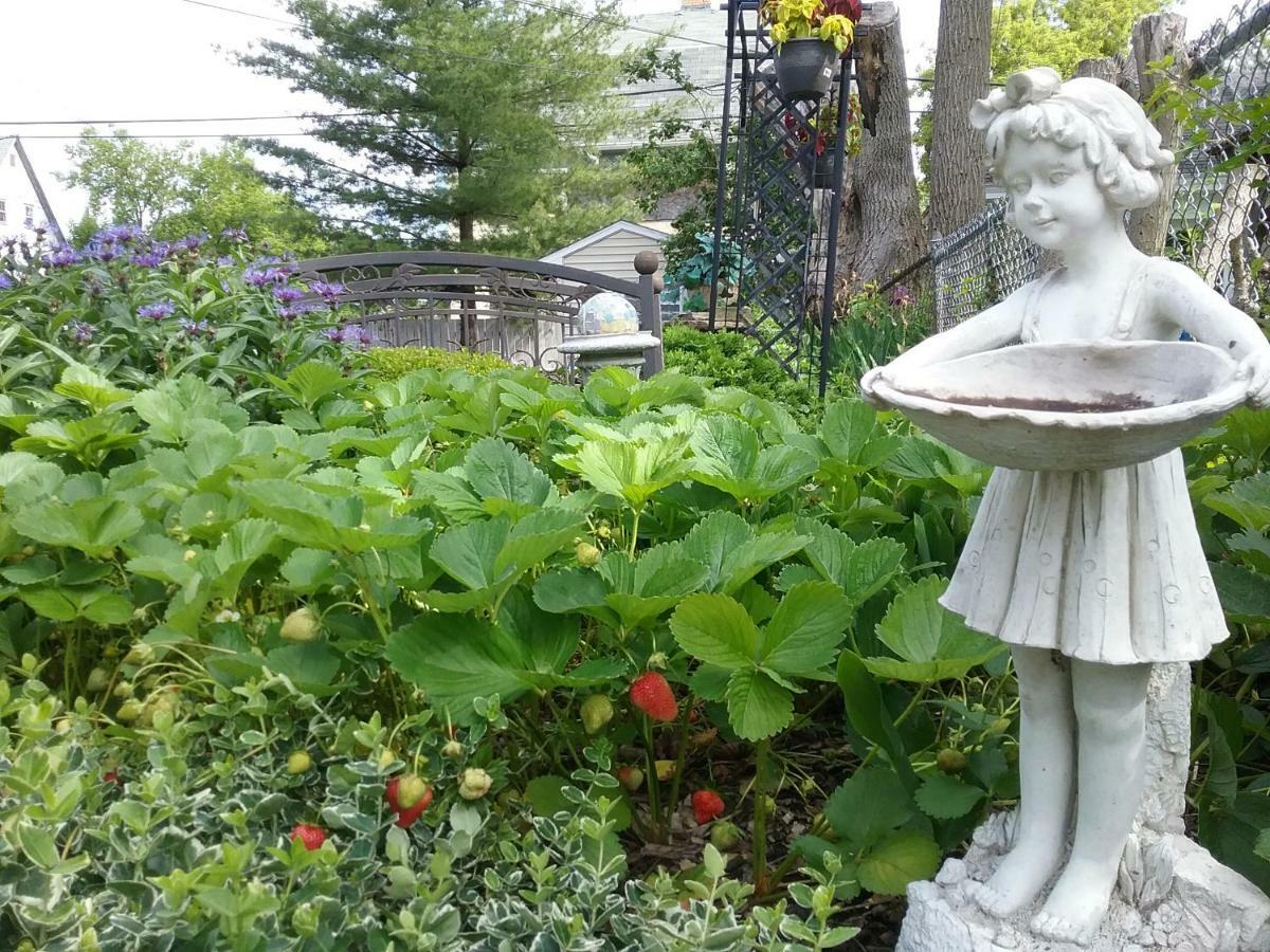 Hanover House Bed And Breakfast Niagarafallen Exteriör bild